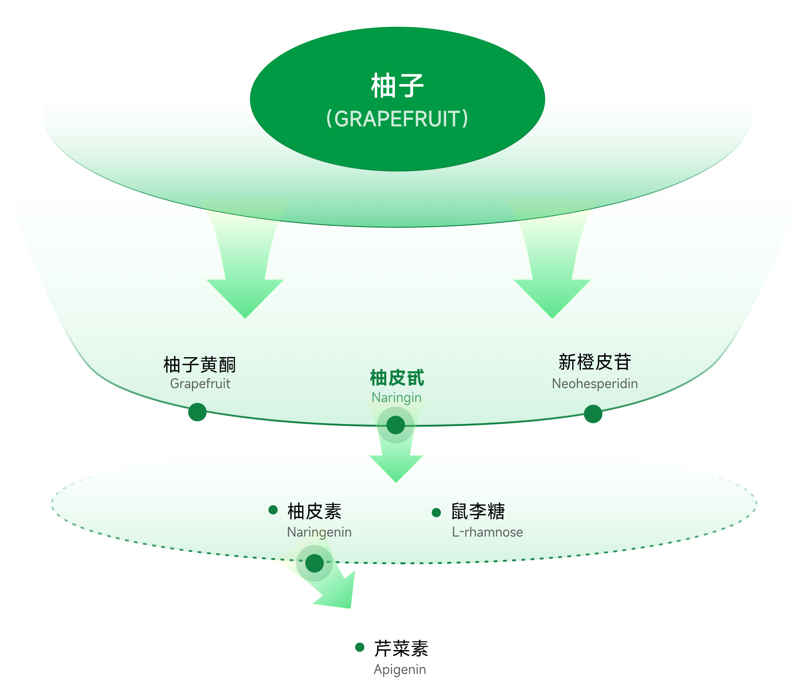 柚子
