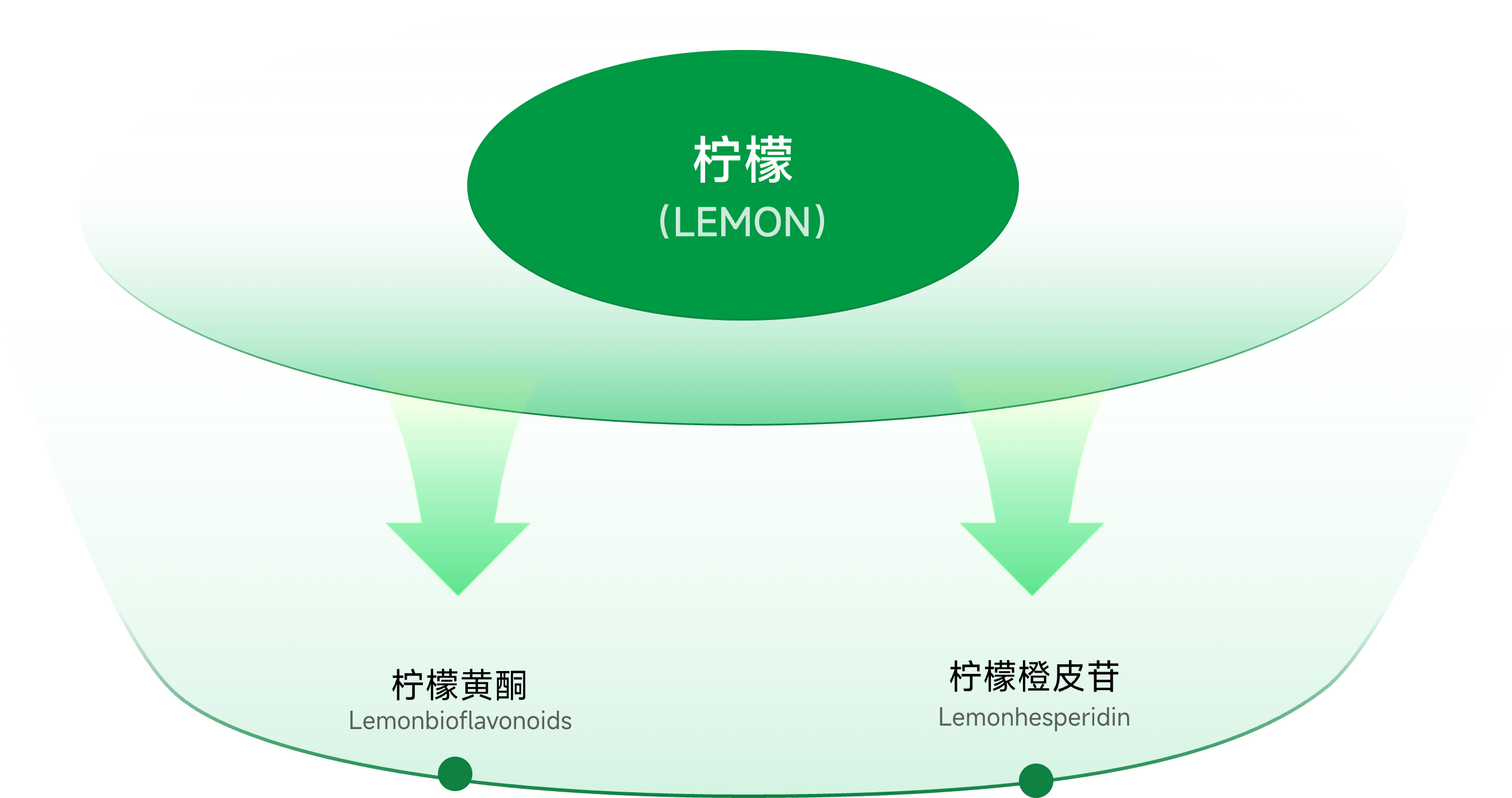 柠檬